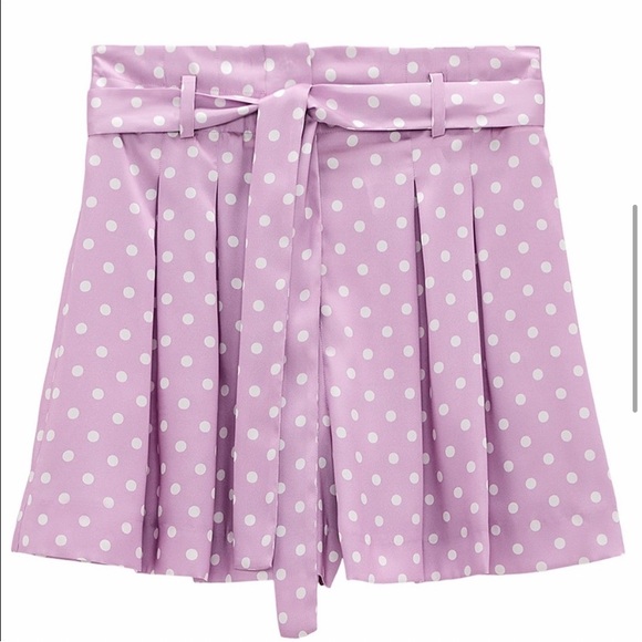 Zara Shorts - Picture 1 of 11